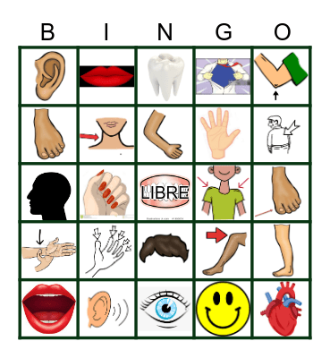 Body Parts Bingo Card