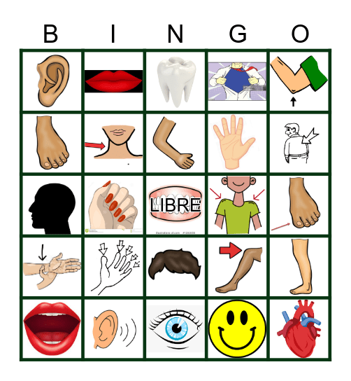 Body Parts Bingo Card