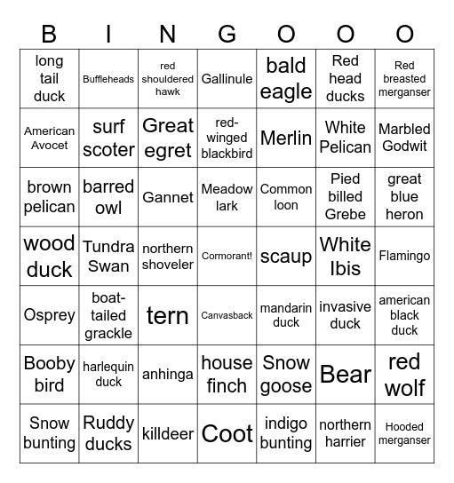 Outerbanks Bingo Card