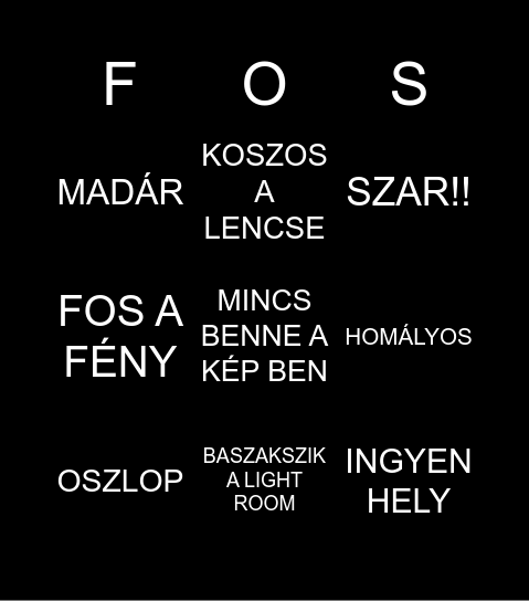 SEGÍTSÉG A SZERKESZTÉSHEZ:) Bingo Card