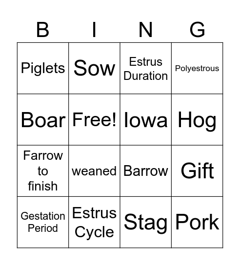 Swine Breeds Terms Bingo Card