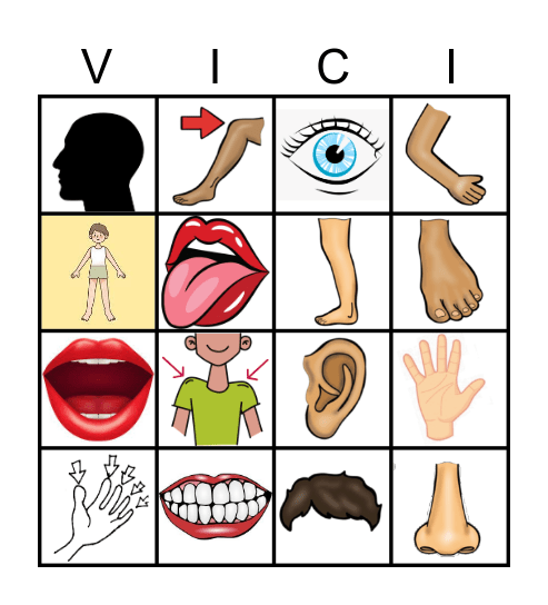 corpus humanum Bingo Card