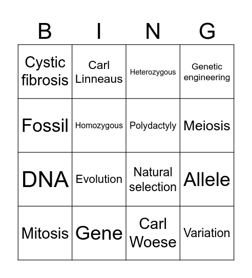 Inheritance Bingo Card