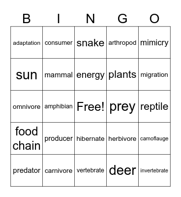 Life -3rd. & 5th. Bingo Card