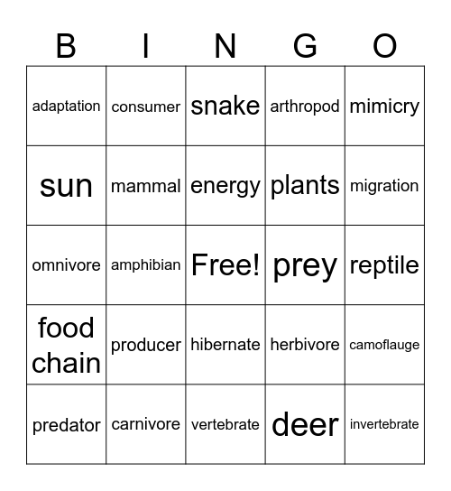 Life -3rd. & 5th. Bingo Card