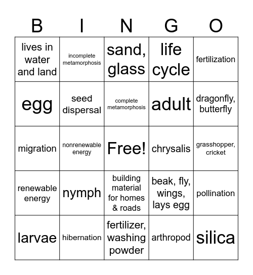 3rd. & 4th grade review Bingo Card