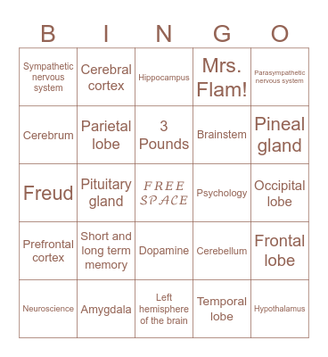 Brain Bingo! Bingo Card