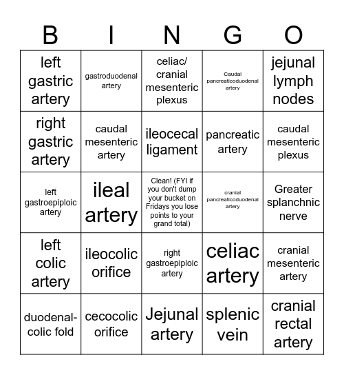 Canine GI, Blood Supply, & ANS Bingo Card