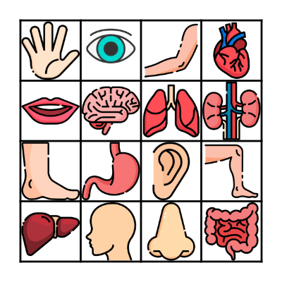 CORPS HUMAIN Bingo Card