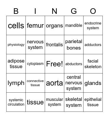 Chapter 6: Anatomy Bingo Card