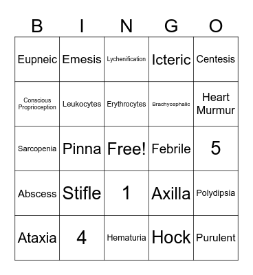 Medical Terminology Bingo Card