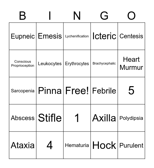 Medical Terminology Bingo Card