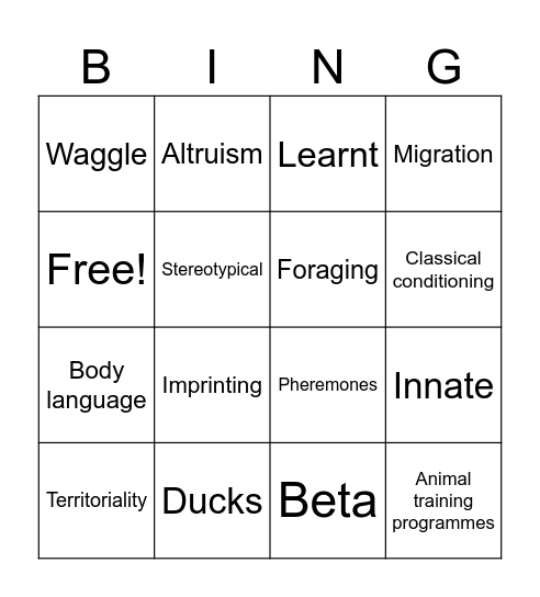 Animal behaviour terms Bingo Card