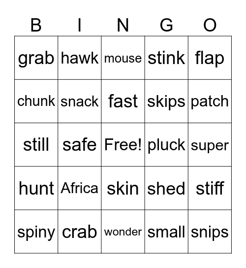 Super Spiny Mouse Bingo Card