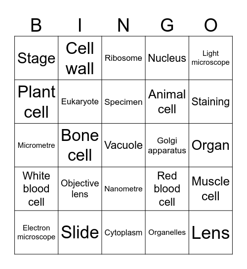 Year 8 Science Cells and Microscopes Bingo Card