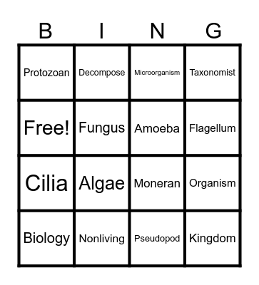 Organizing Living Things Bingo Card