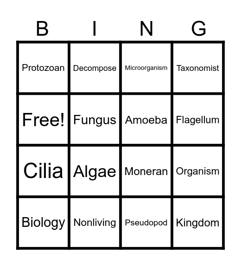 Organizing Living Things Bingo Card