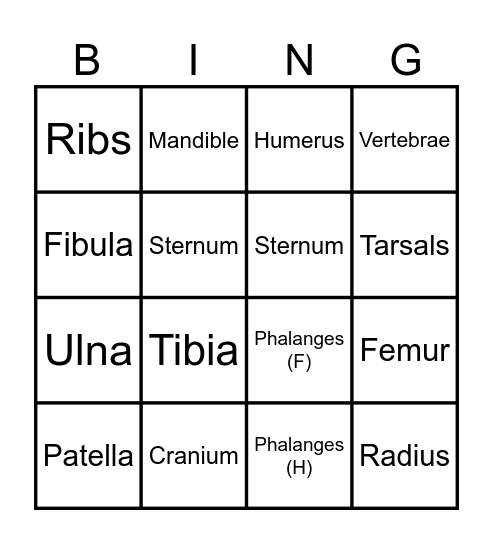 7th Grade Bones Bingo Card