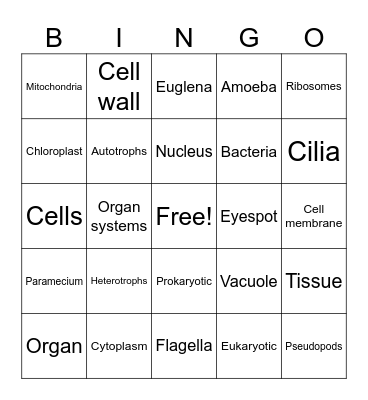 Cells & Protists Bingo Card