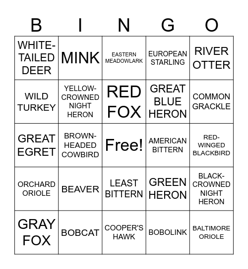 Envirothon: Wildlife Bingo Card