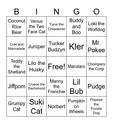 Animal Influencers (past and present) Bingo Card