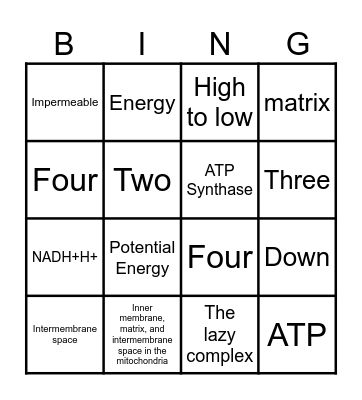 ETC Bingo Card