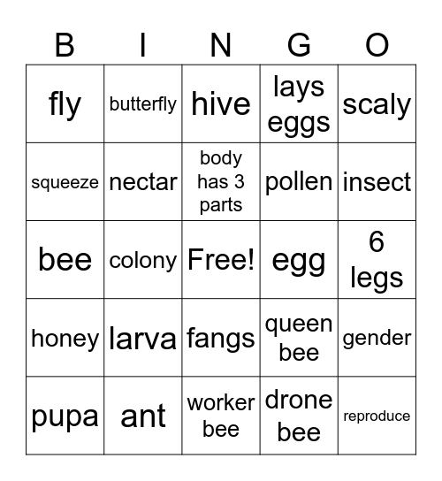 Vocabulary Review Bingo Card