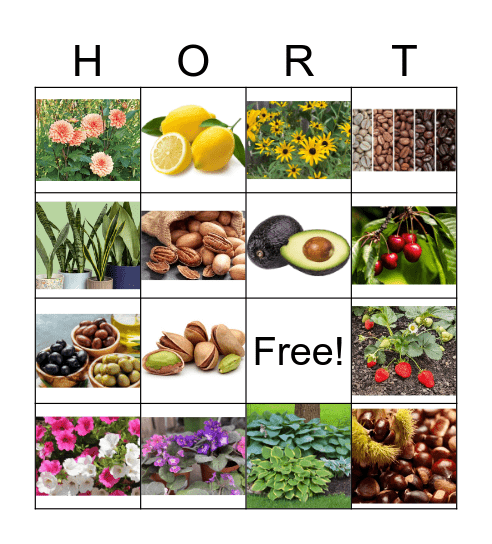 Jr Division Bingo Card