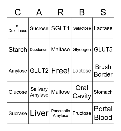 Break it Down! Carbohydrate Bingo Card