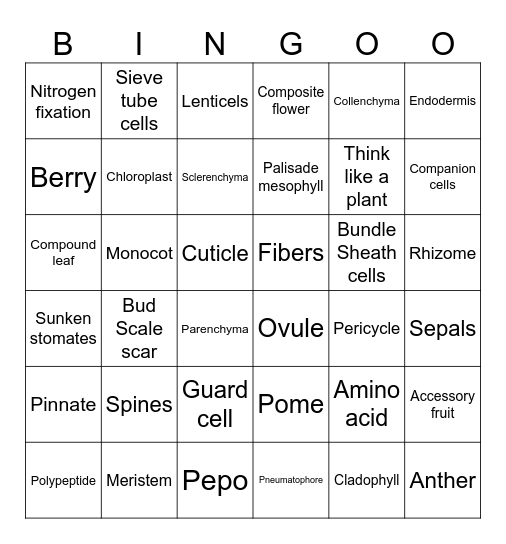 Plant Anatomy Bingo Card