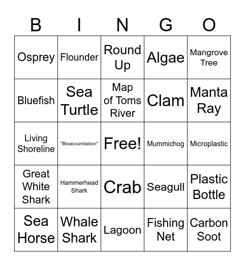 Estuary Bingo Card