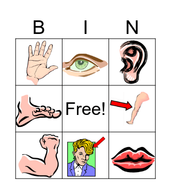 Body Parts Bingo Card