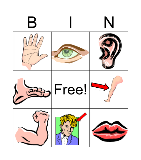 Body Parts Bingo Card