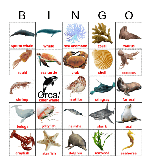 SEA ANIMALS Bingo Card