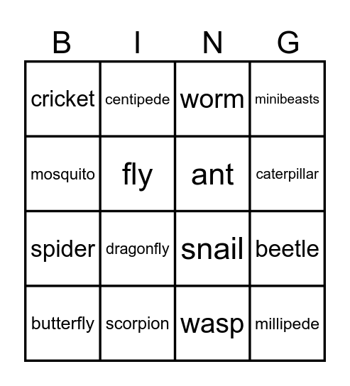 Minibeasts Bingo Card