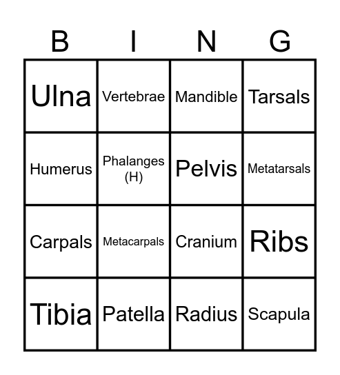 Bone Bingo! Bingo Card