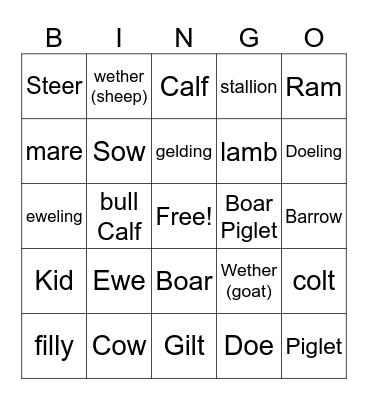 Animal Terminology Bingo Card