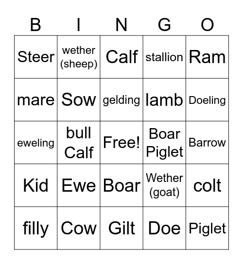 Animal Terminology Bingo Card