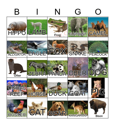 ANIMAL Bingo Card