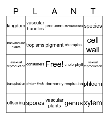 Plant Review Bingo! Bingo Card