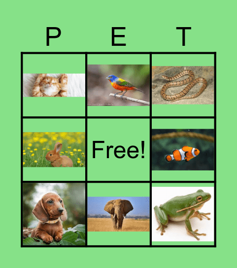 Pet Bingo Card
