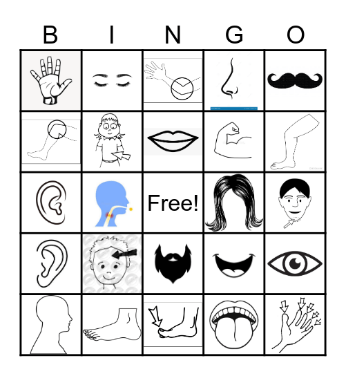 Körperteile mit Bilder Bingo Card