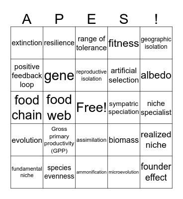 Review Chapt: 1-5 Bingo Card