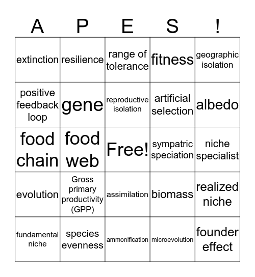 Review Chapt: 1-5 Bingo Card