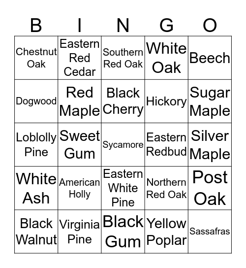 Tree Identification Bingo Card