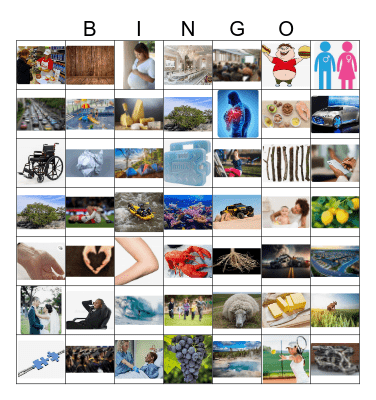 ESL CLASS Bingo Card