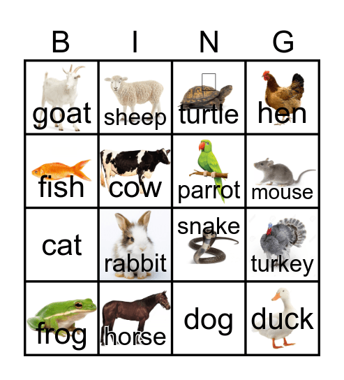 ED 2- Unit 5 animal Bingo Card