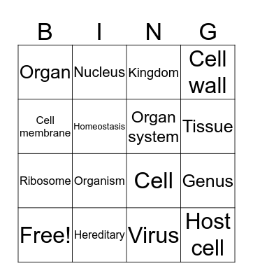 Vocabulary Review Bingo Card