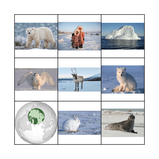 Arctic Topic Bingo Card