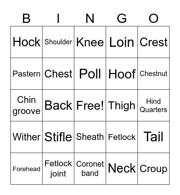 Pony Parts Bingo Card